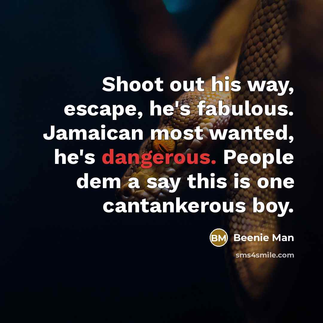 “Shoot out his way, escape, he's fabulous. Jamaican most wanted, he's dangerous. People dem a say this is one cantankerous boy.” quote by Beenie Man