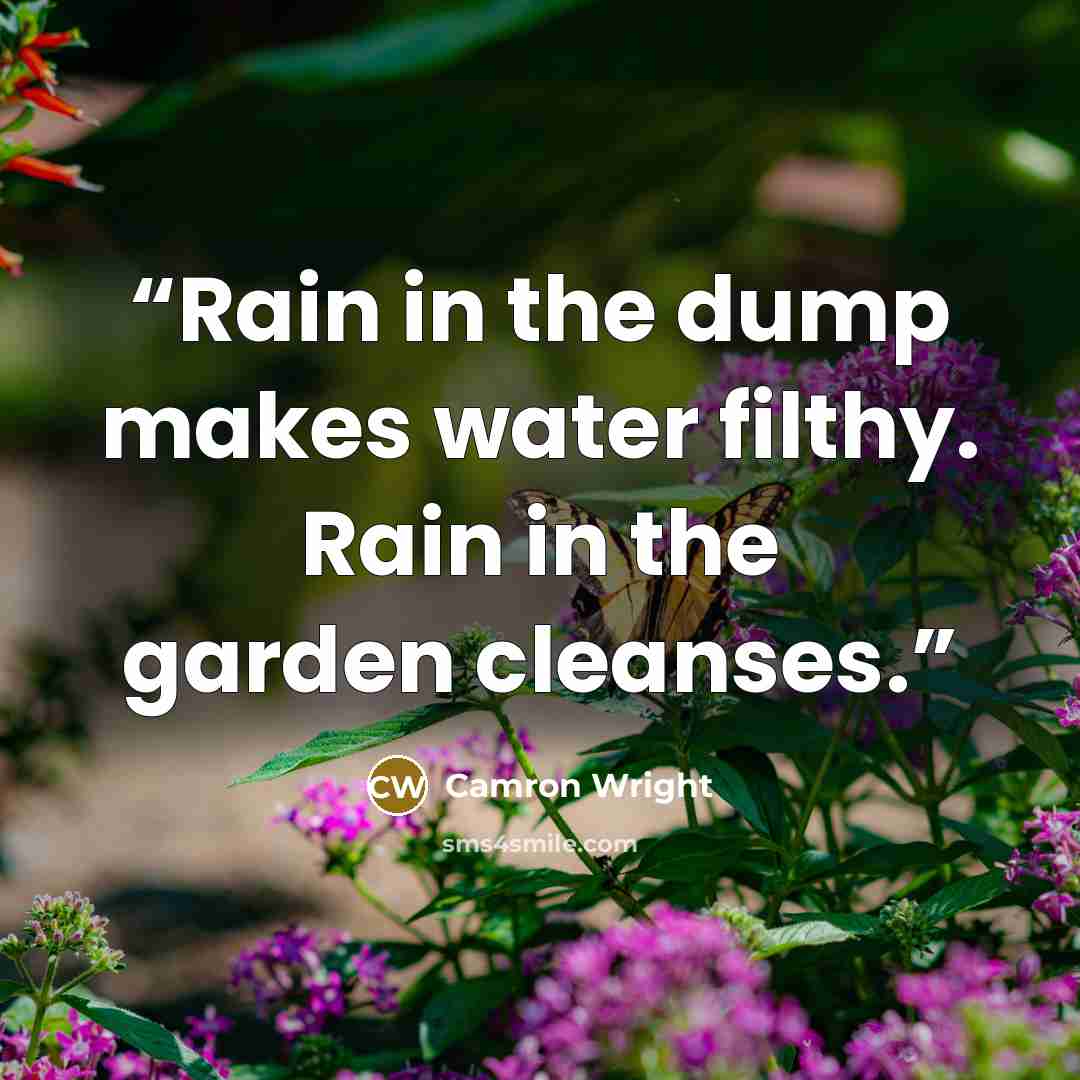 “Rain in the dump makes water filthy. Rain in the garden cleanses.” quote by Camron Wright