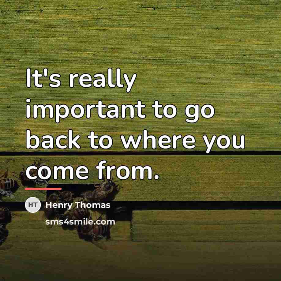 “It's really important to go back to where you come…” quote by Henry Thomas
