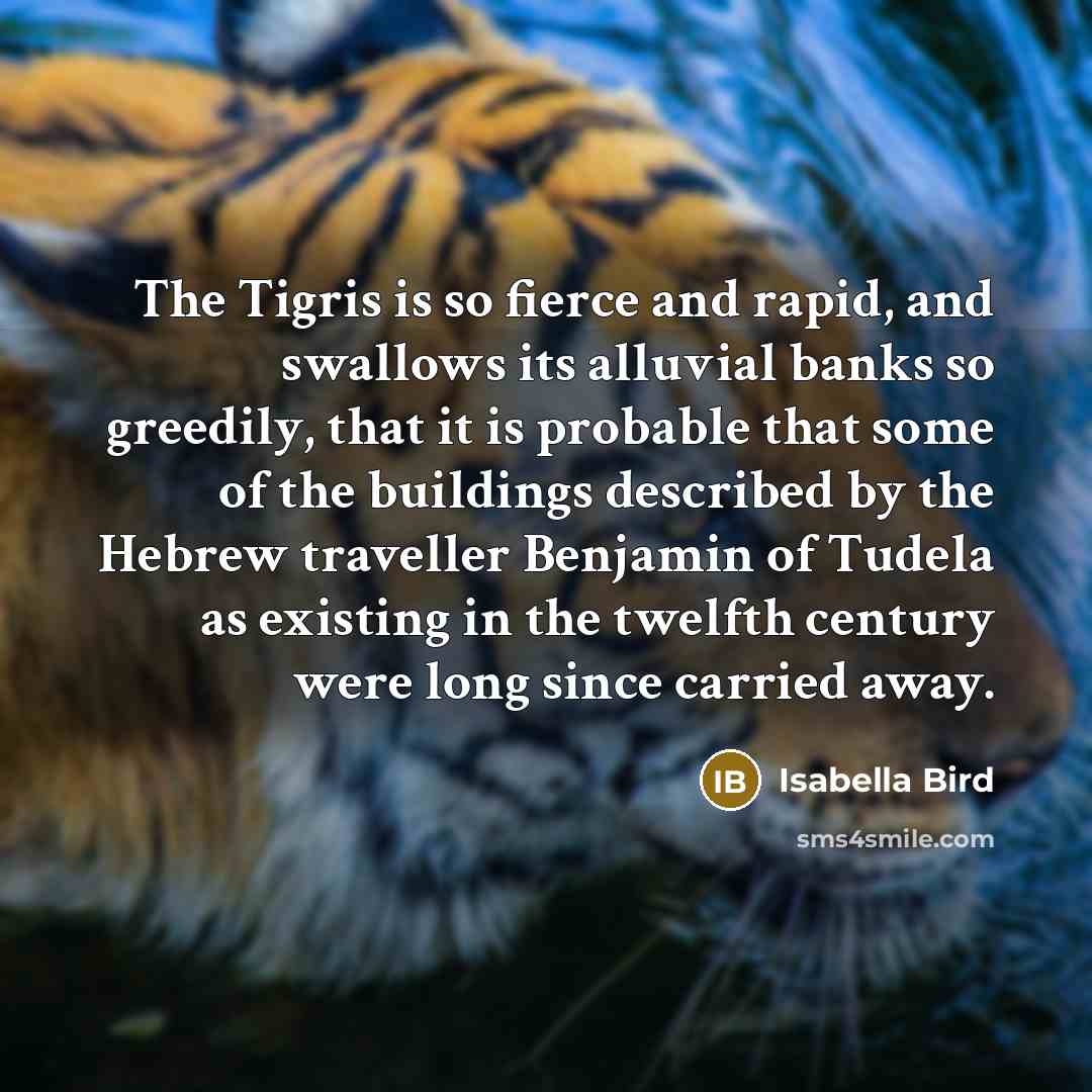 “The Tigris is so fierce and rapid, and swallows its…” quote by Isabella Bird