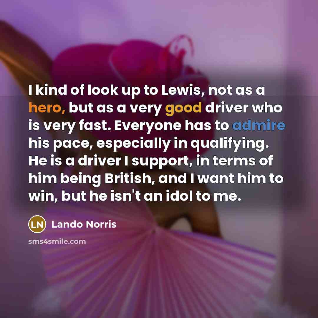 “I kind of look up to Lewis, not as a…” quote by Lando Norris