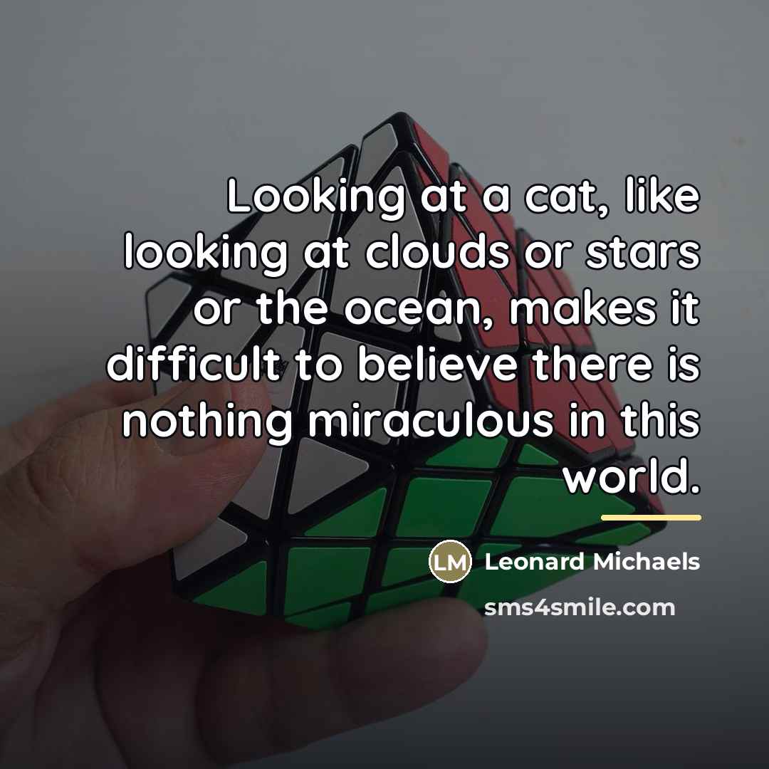 “Looking at a cat, like looking at clouds or stars…” quote by Leonard Michaels