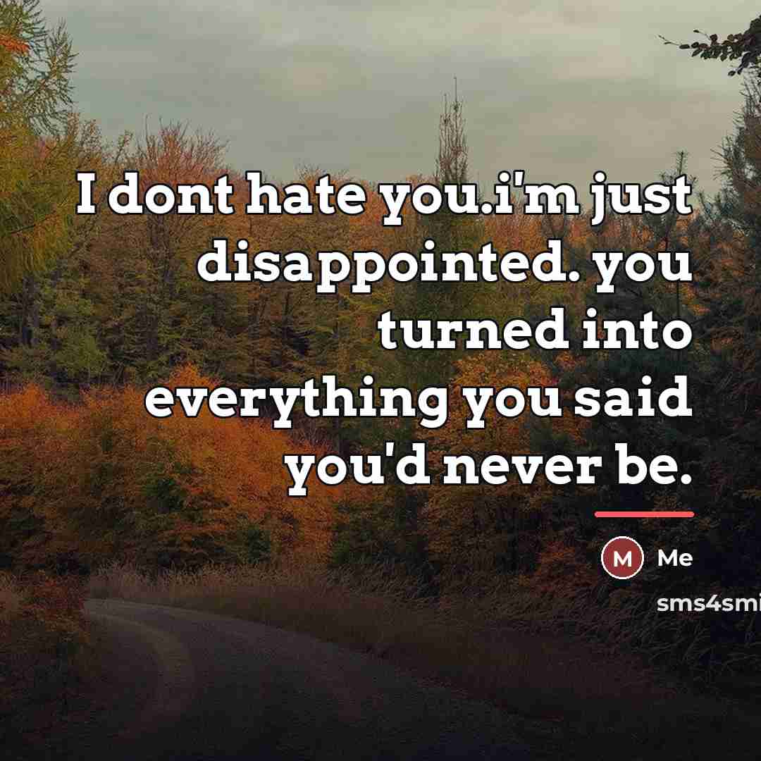“I dont hate you.i'm just disappointed. you turned into everything…” quote by Me