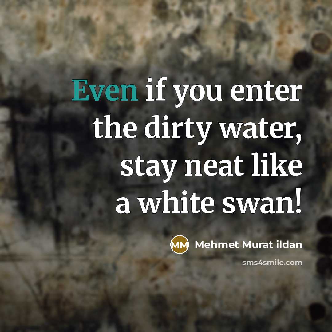 “Even if you enter the dirty water, stay neat like…” quote by Mehmet Murat Ildan