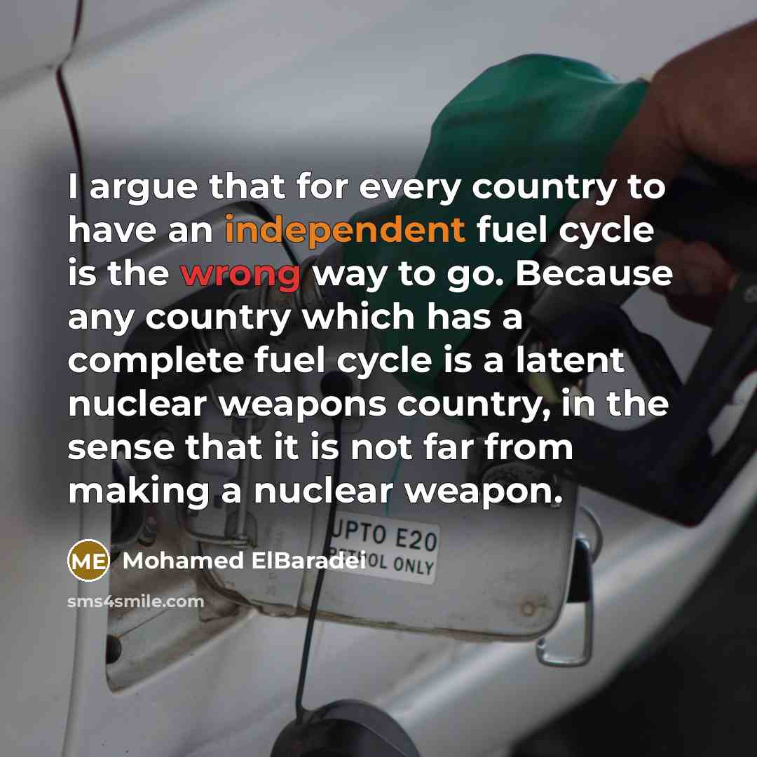 “I argue that for every country to have an independent…” quote by Mohamed ElBaradei