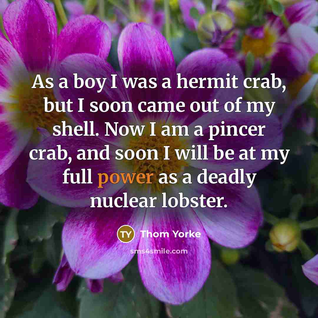 “As a boy I was a hermit crab, but I…” quote by Thom Yorke