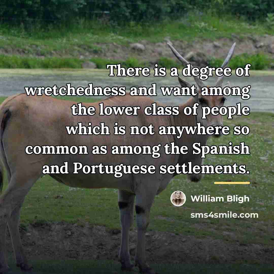 “There is a degree of wretchedness and want among the…” quote by William Bligh