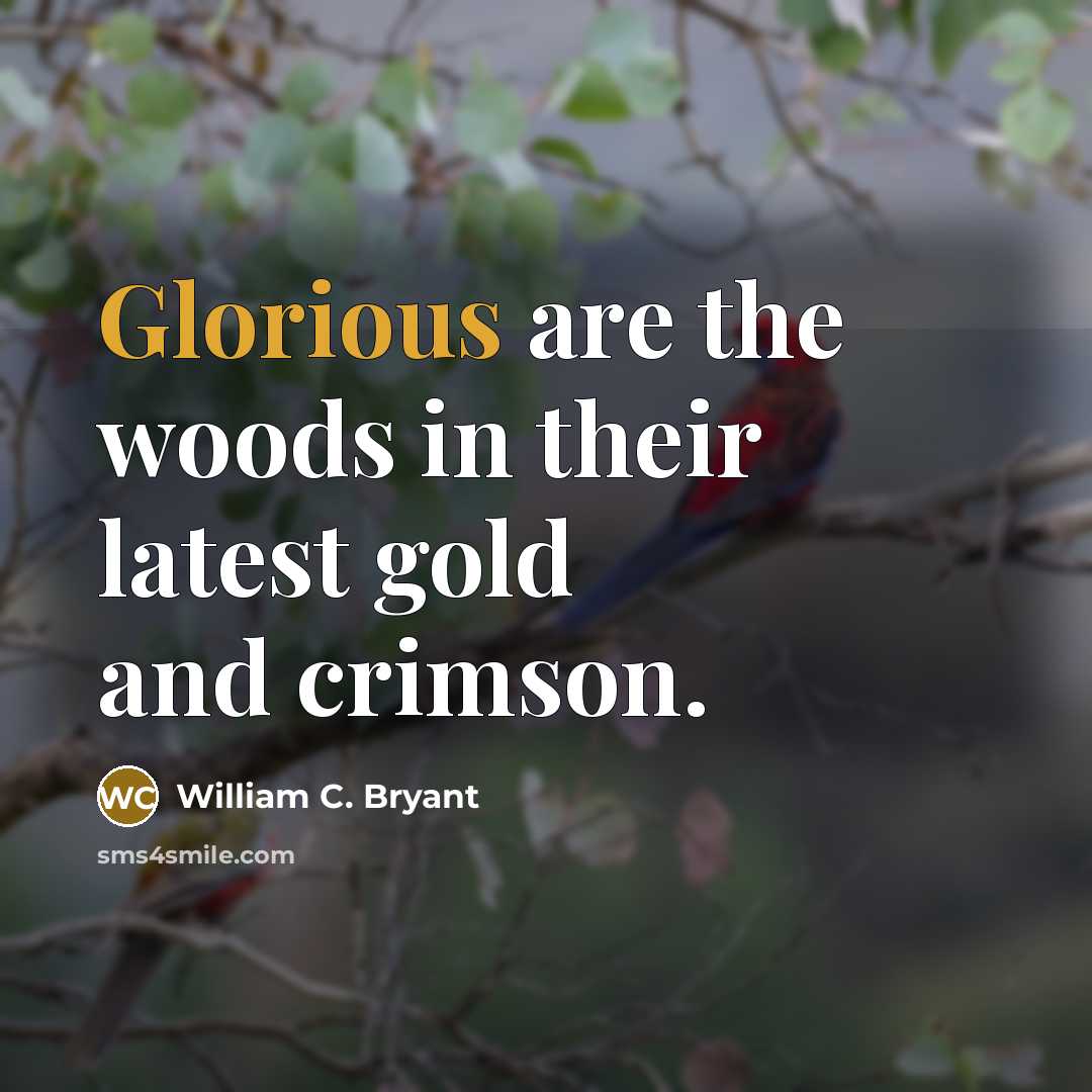 “Glorious are the woods in their latest gold and crimson.…” quote by William C. Bryant