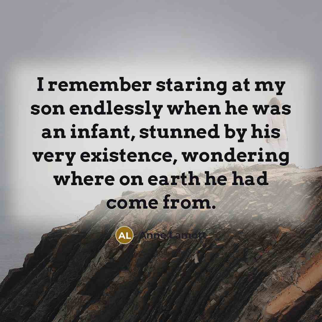 “I remember staring at my son endlessly when he was…” quote by Anne Lamott