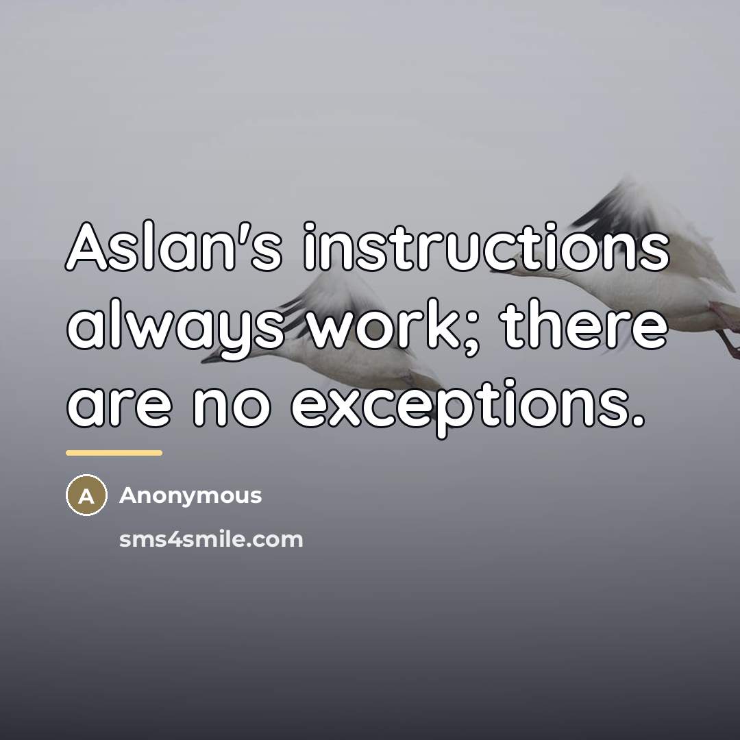 “Aslan's instructions always work; there are no exceptions.…” quote by Anonymous