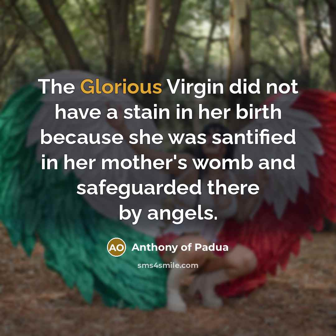 “The Glorious Virgin did not have a stain in her…” quote by Anthony of Padua