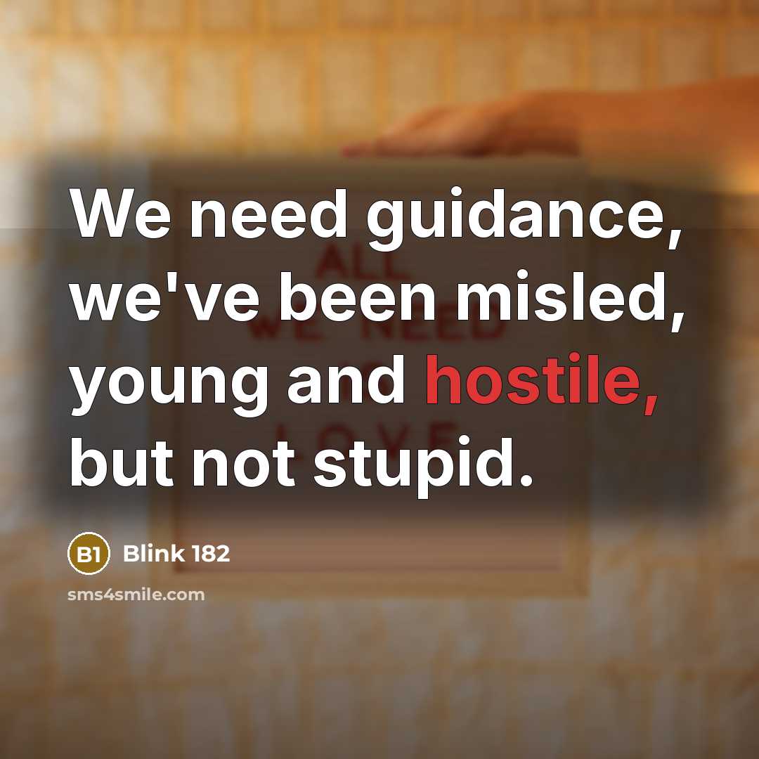 “We need guidance, we've been misled, young and hostile, but…” quote by Blink 182