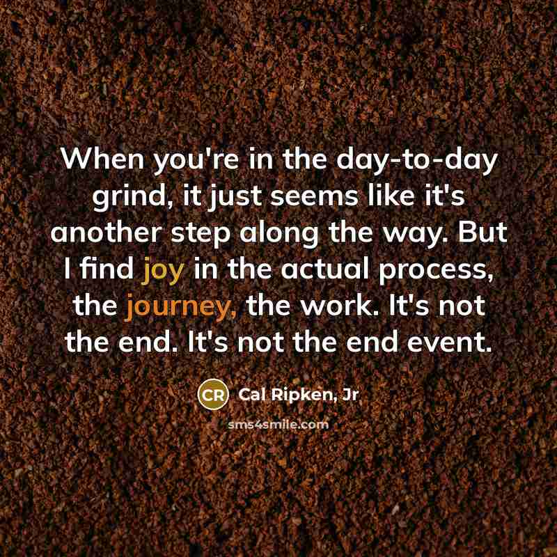 “When you're in the day-to-day grind, it just seems like…” quote by Cal Ripken, Jr
