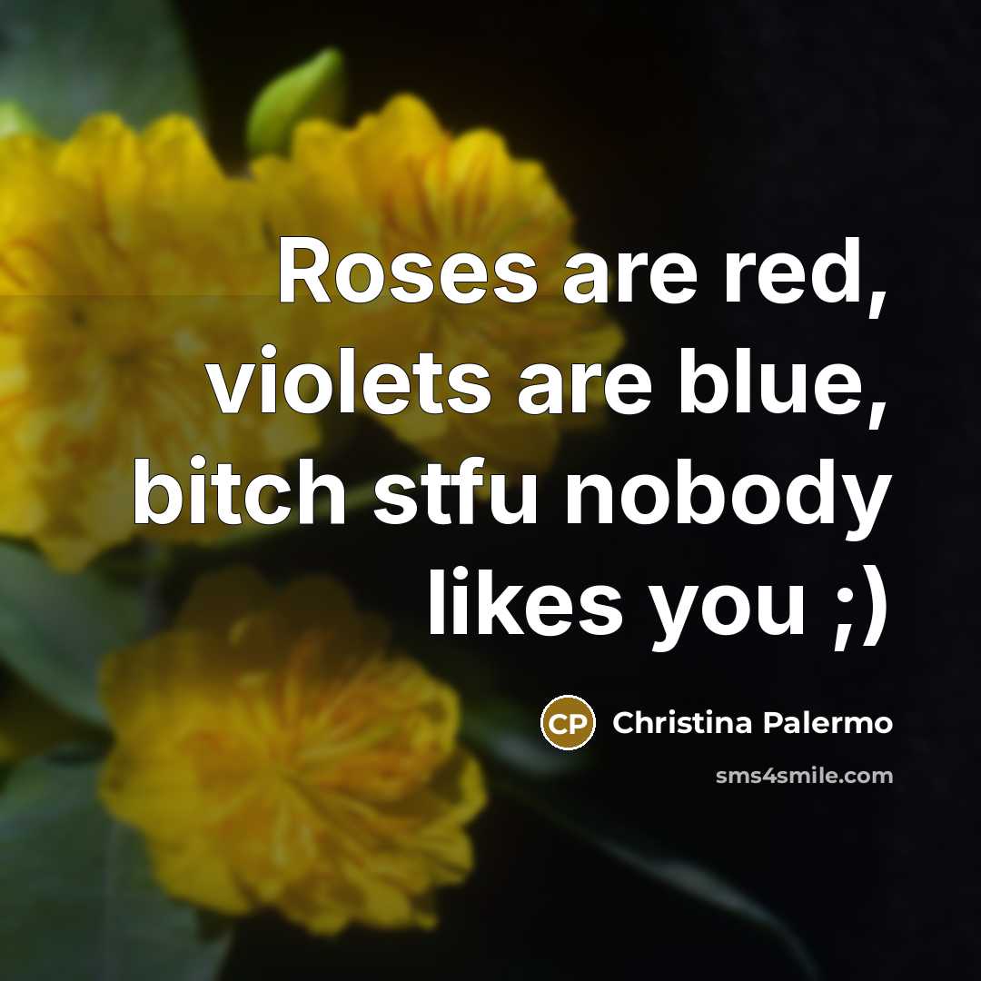 “Roses are red, violets are blue, bitch stfu nobody likes…” quote by Christina Palermo