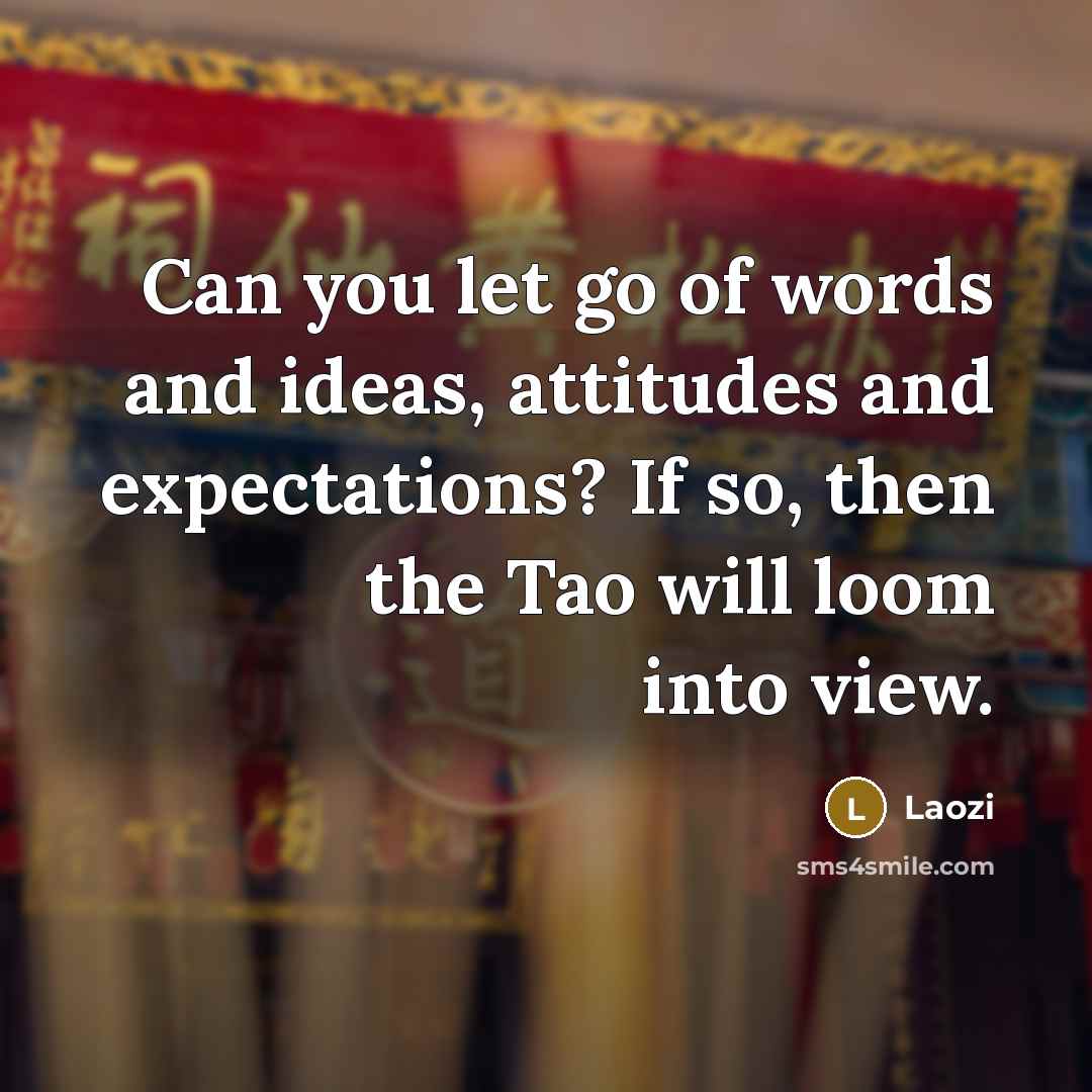 “Can you let go of words and ideas, attitudes and…” quote by Laozi