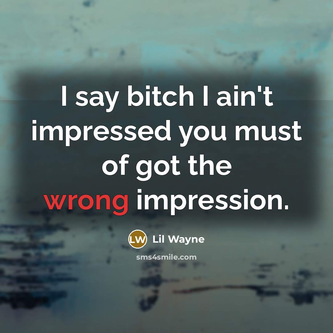 “I say bitch I ain't impressed you must of got the wrong impression.” quote by Lil Wayne