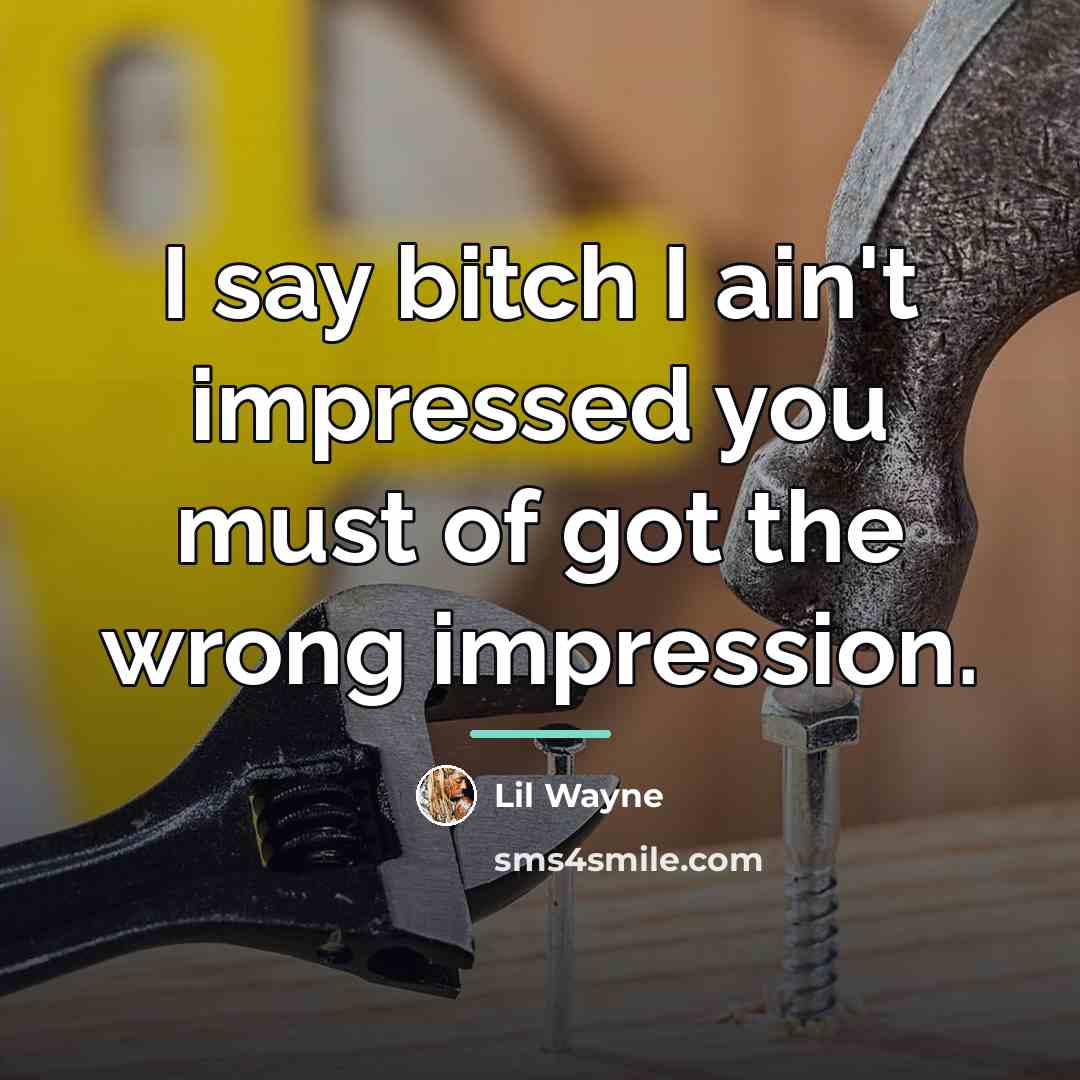 “I say bitch I ain't impressed you must of got…” quote by Lil Wayne