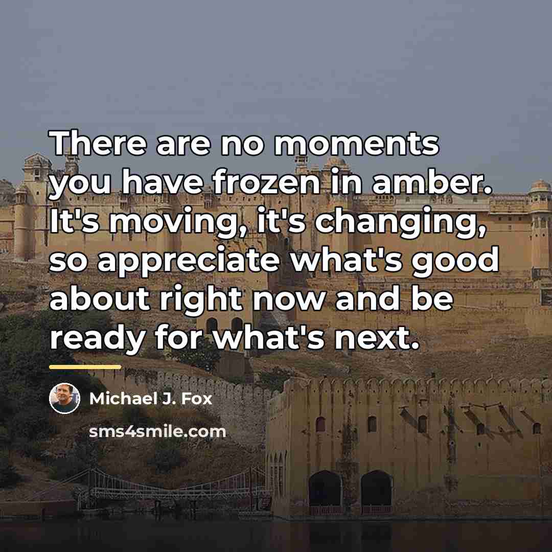 “There are no moments you have frozen in amber. It's…” quote by Michael J. Fox