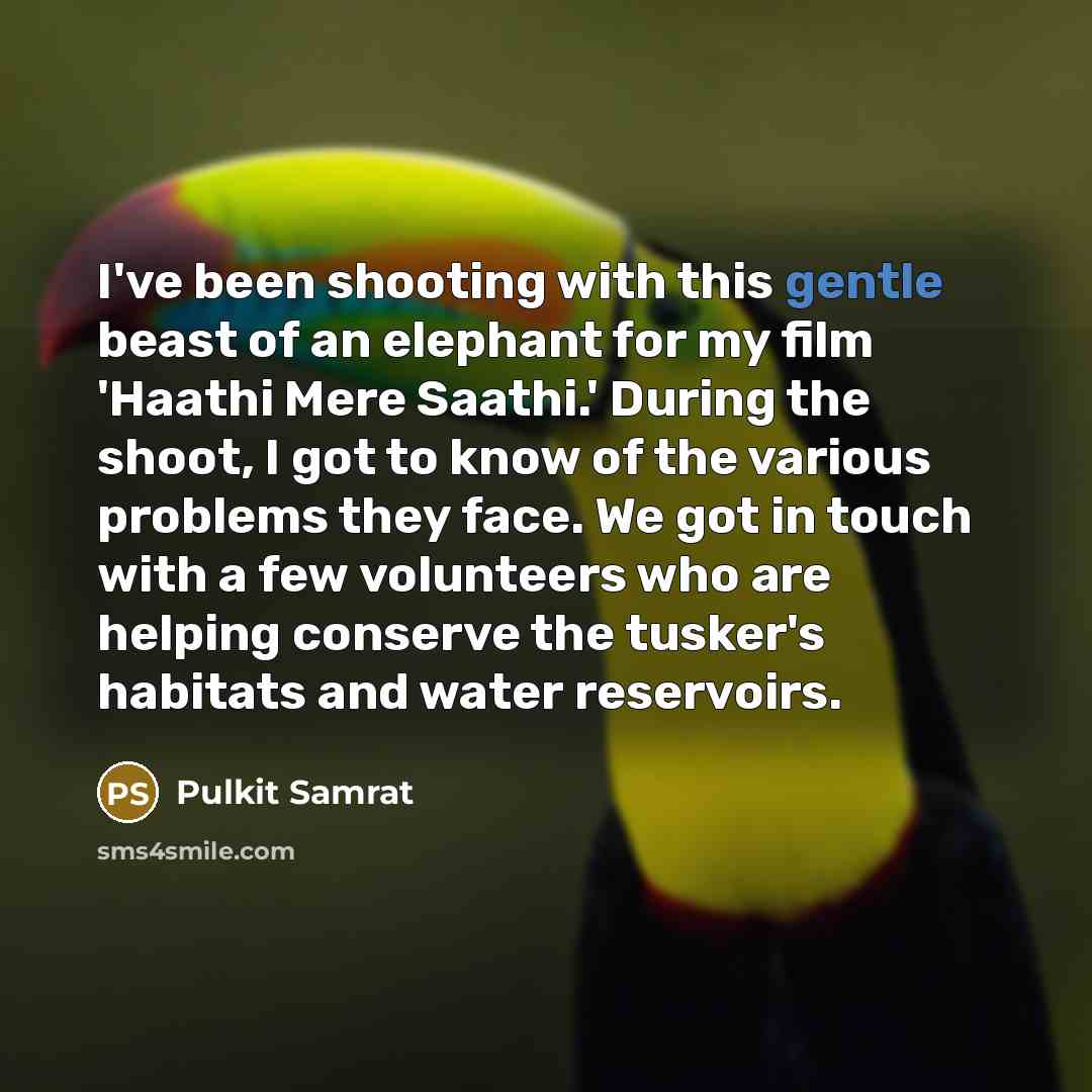 “I've been shooting with this gentle beast of an elephant…” quote by Pulkit Samrat