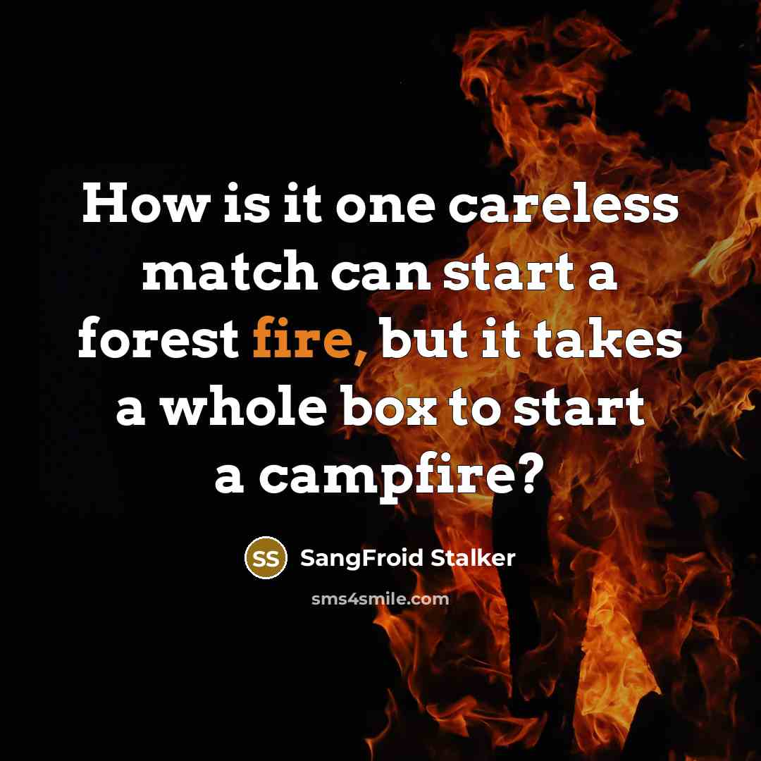 “How is it one careless match can start a forest fire, but it takes a whole box to start a campfire?” quote by SangFroid Stalker