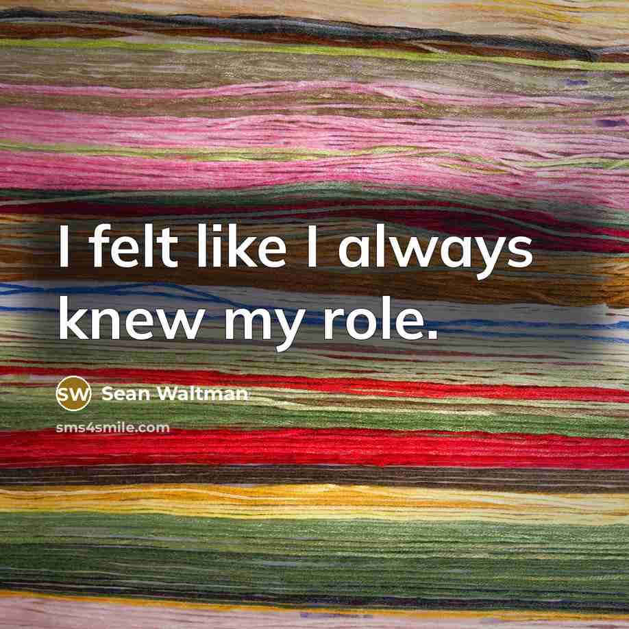 “I felt like I always knew my role.…” quote by Sean Waltman