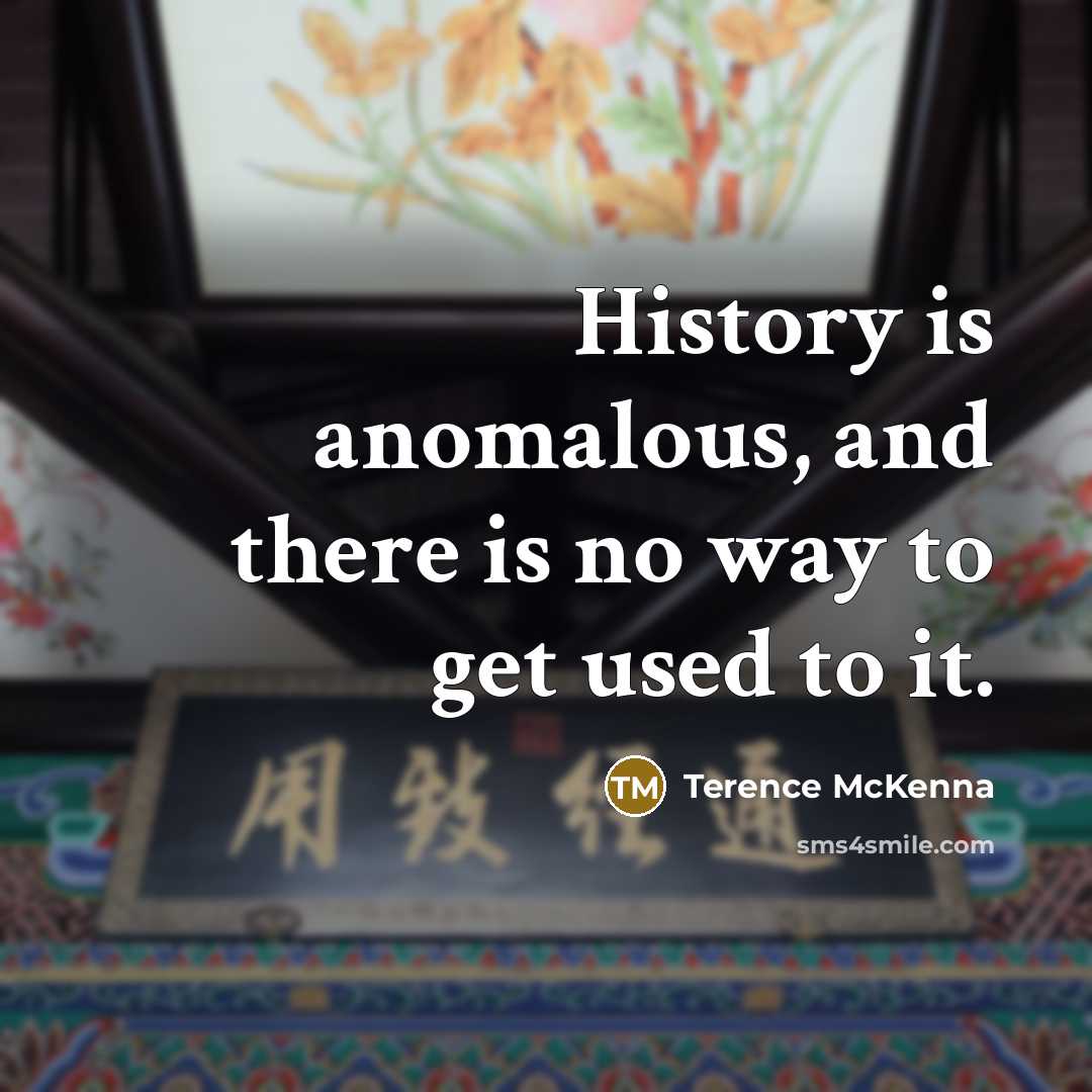 “History is anomalous, and there is no way to get…” quote by Terence McKenna