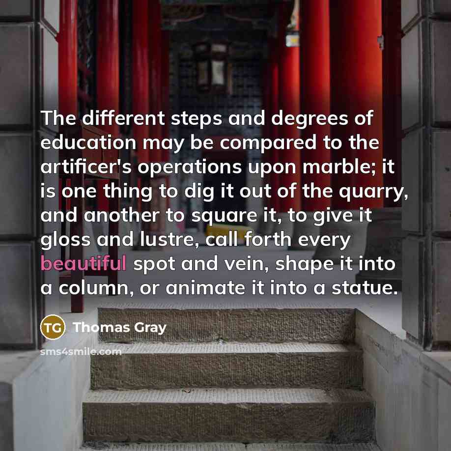 “The different steps and degrees of education may be compared to the artificer's operations upon marble; it is one thing to dig it out of the quarry, and another to square it, to give it gloss and lustre, call forth every beautiful spot and vein, shape it into a column, or animate it into a statue.” quote by Thomas Gray