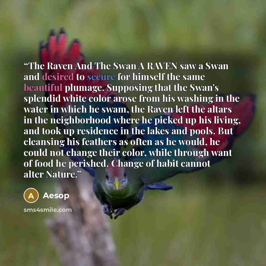 “The Raven And The Swan A RAVEN saw a Swan and desired to secure for himself the same beautiful plumage. Supposing that the Swan's splendid white color arose from his washing in the water in which he swam, the Raven left the altars in the neighborhood where he picked up his living, and took up…” quote by Aesop