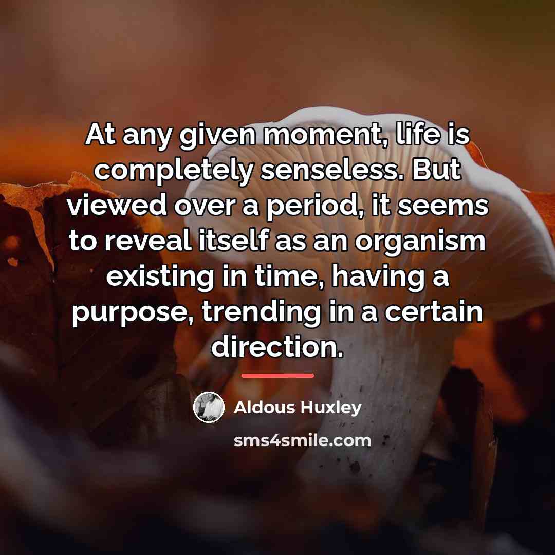 “At any given moment, life is completely senseless. But viewed…” quote by Aldous Huxley