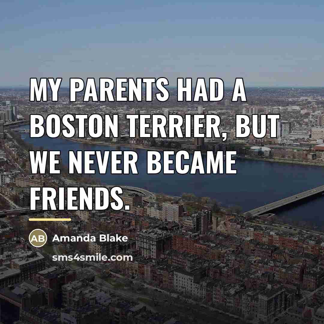 “My parents had a Boston terrier, but we never became…” quote by Amanda Blake
