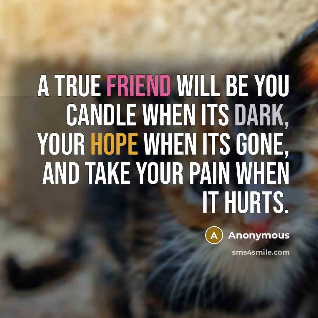 “A true friend will be you candle when its dark,…” quote by Anonymous