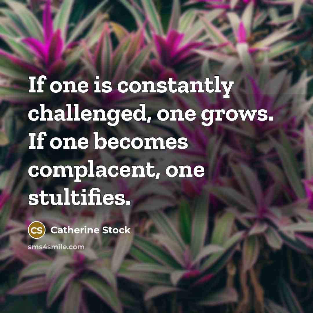 “If one is constantly challenged, one grows. If one becomes…” quote by Catherine Stock