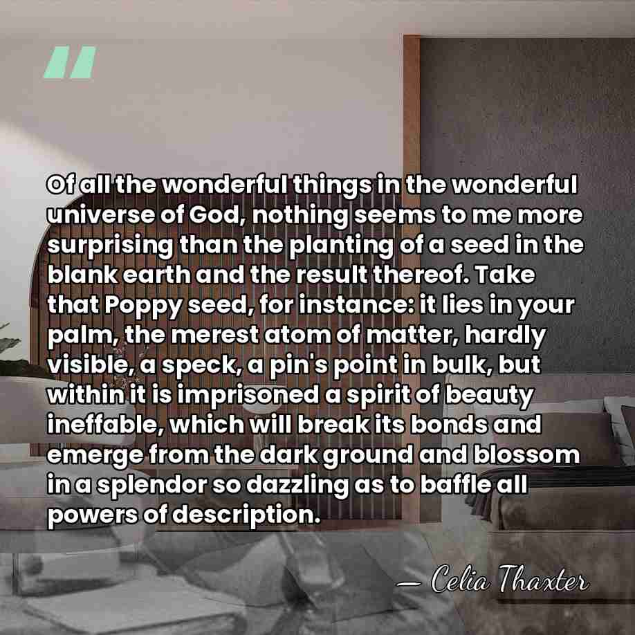 Of all the wonderful things in the wonderful universe of God, nothing&hellip; - Celia Thaxter