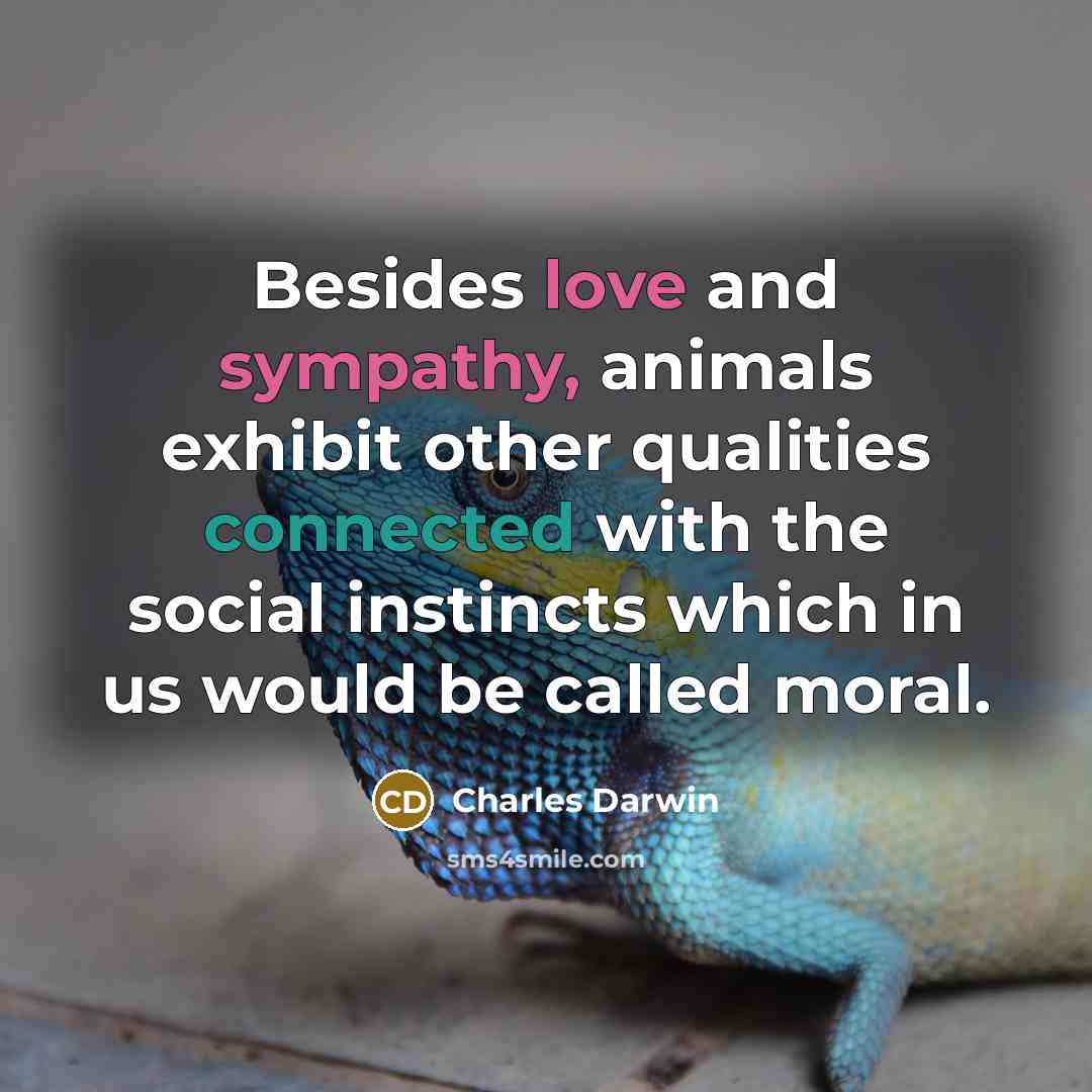 “Besides love and sympathy, animals exhibit other qualities connected with…” quote by Charles Darwin