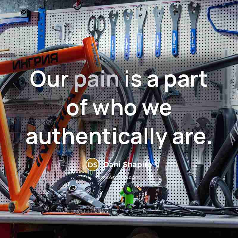 “Our pain is a part of who we authentically are.…” quote by Dani Shapiro