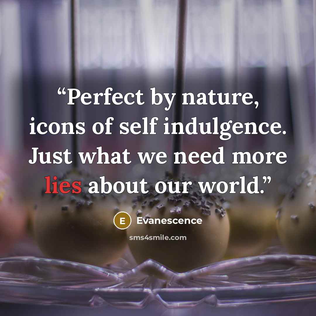 “Perfect by nature, icons of self indulgence. Just what we need more lies about our world.” quote by Evanescence