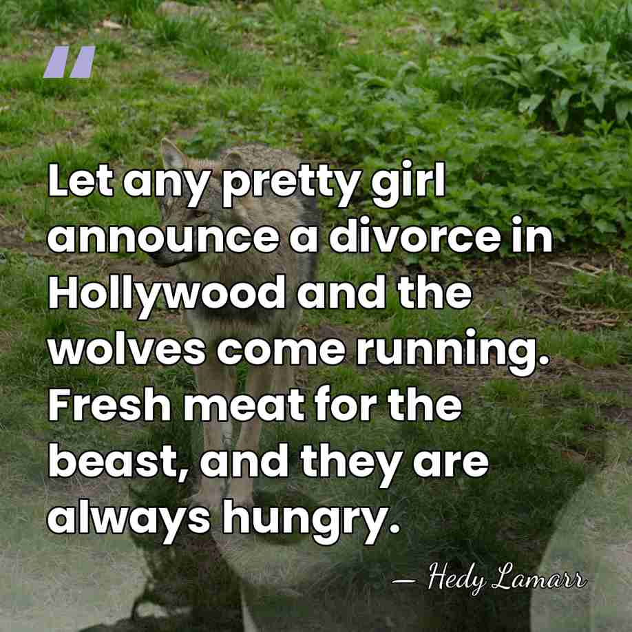 Let any pretty girl announce a divorce in Hollywood and the wolves&hellip; - Hedy Lamarr