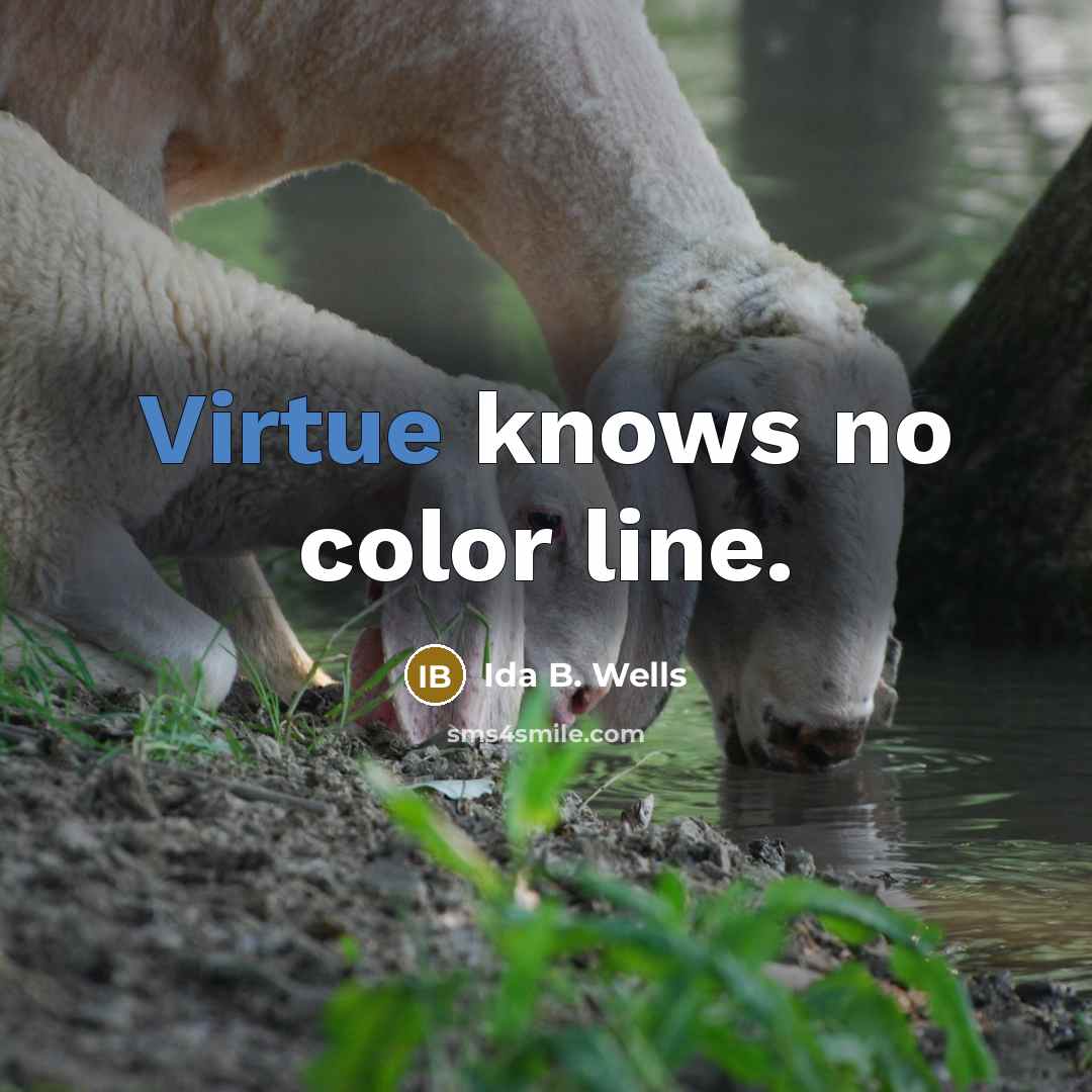 “Virtue knows no color line.…” quote by Ida B. Wells