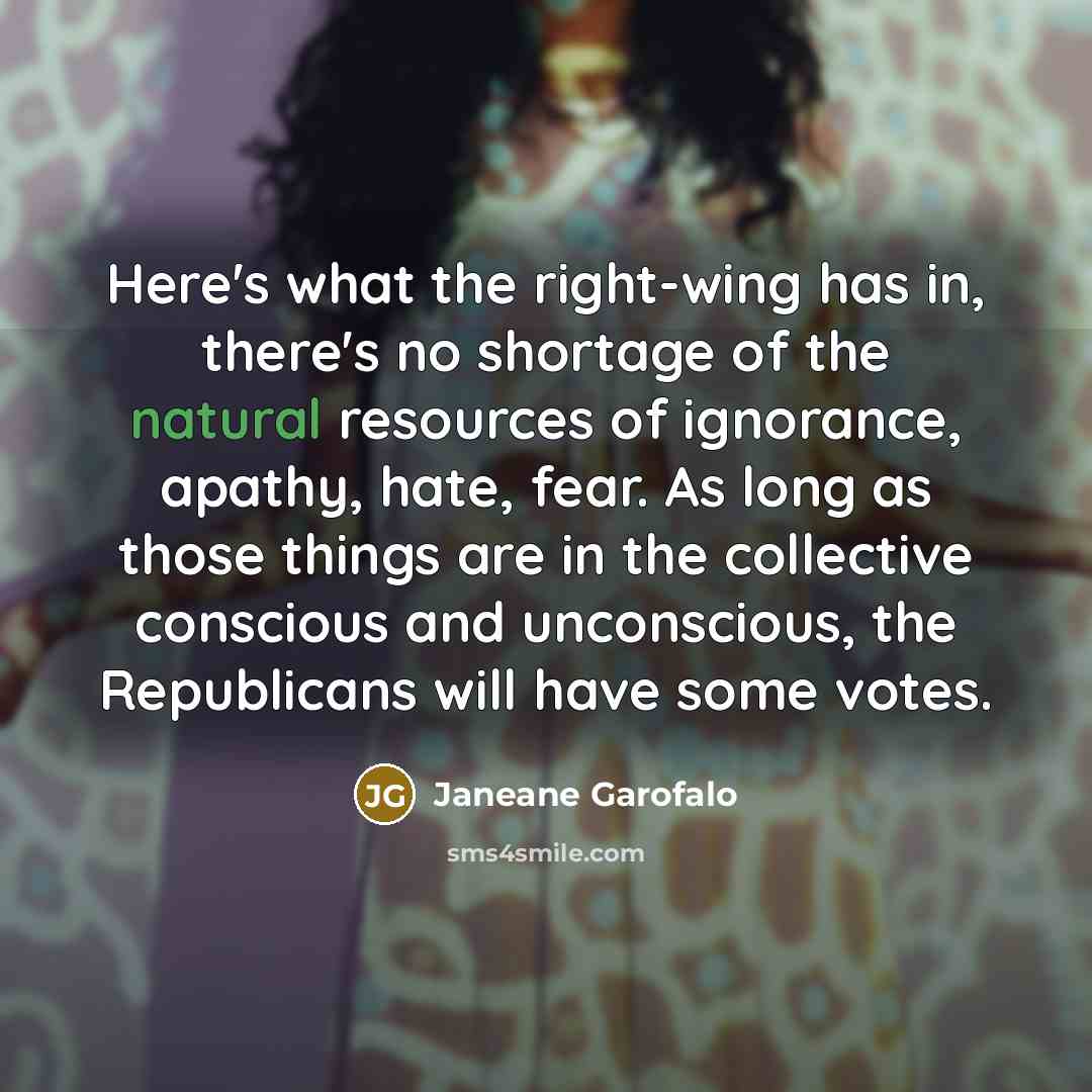 “Here's what the right-wing has in, there's no shortage of…” quote by Janeane Garofalo