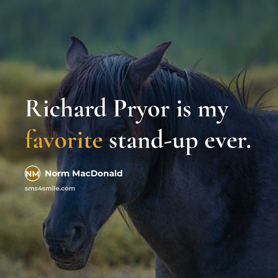 “Richard Pryor is my favorite stand-up ever.” quote by Norm MacDonald