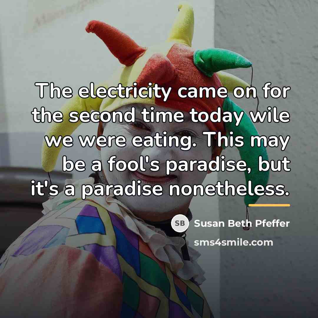 “The electricity came on for the second time today wile…” quote by Susan Beth Pfeffer