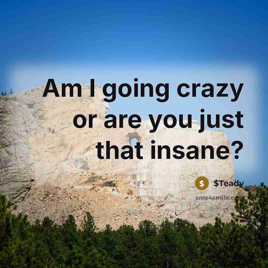 “Am I going crazy or are you just that insane?…” quote by $Teady