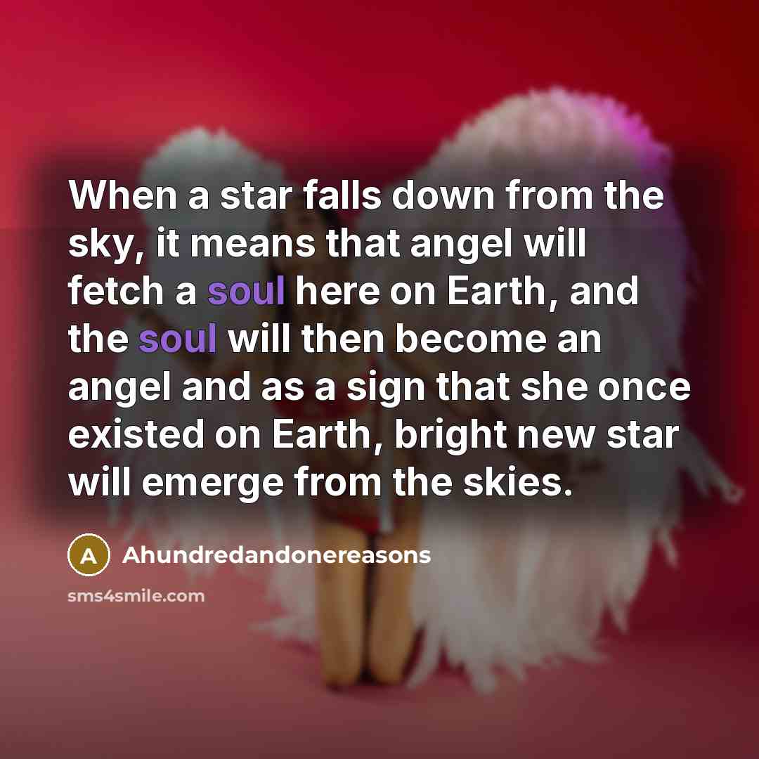 “When a star falls down from the sky, it means that angel will fetch a soul here on Earth, and the soul will then become an angel and as a sign that she once existed on Earth, bright new star will emerge from the skies.” quote by Ahundredandonereasons