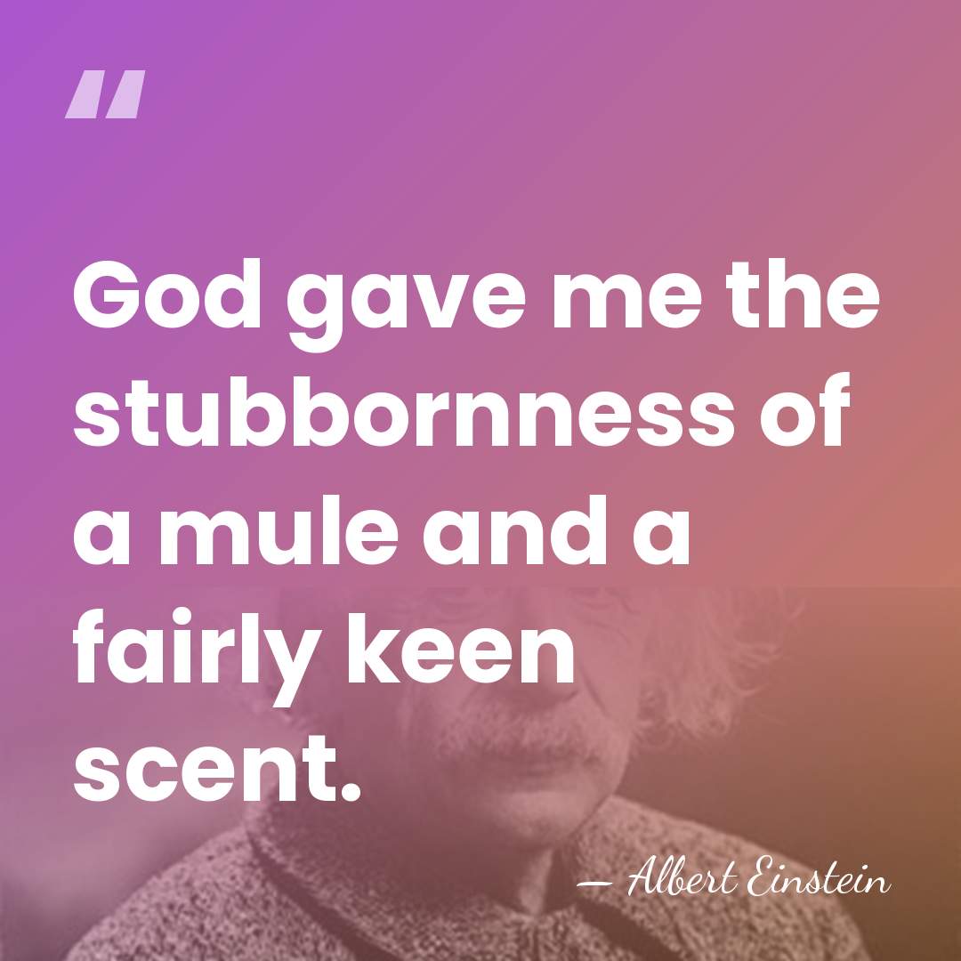 God gave me the stubbornness of a mule and a fairly keen&hellip; - Albert Einstein