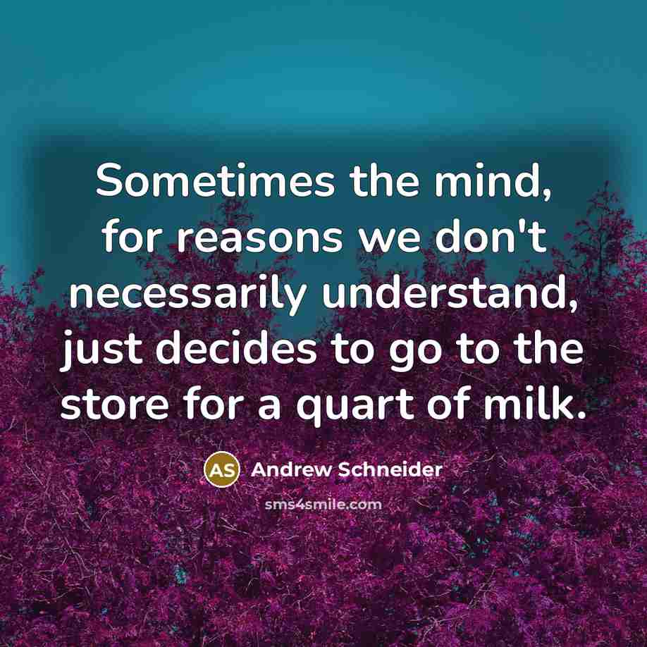 “Sometimes the mind, for reasons we don't necessarily understand, just…” quote by Andrew Schneider
