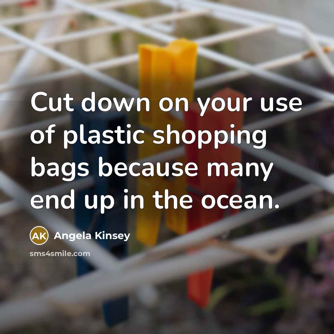 “Cut down on your use of plastic shopping bags because…” quote by Angela Kinsey