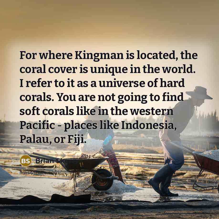 “For where Kingman is located, the coral cover is unique…” quote by Brian Skerry