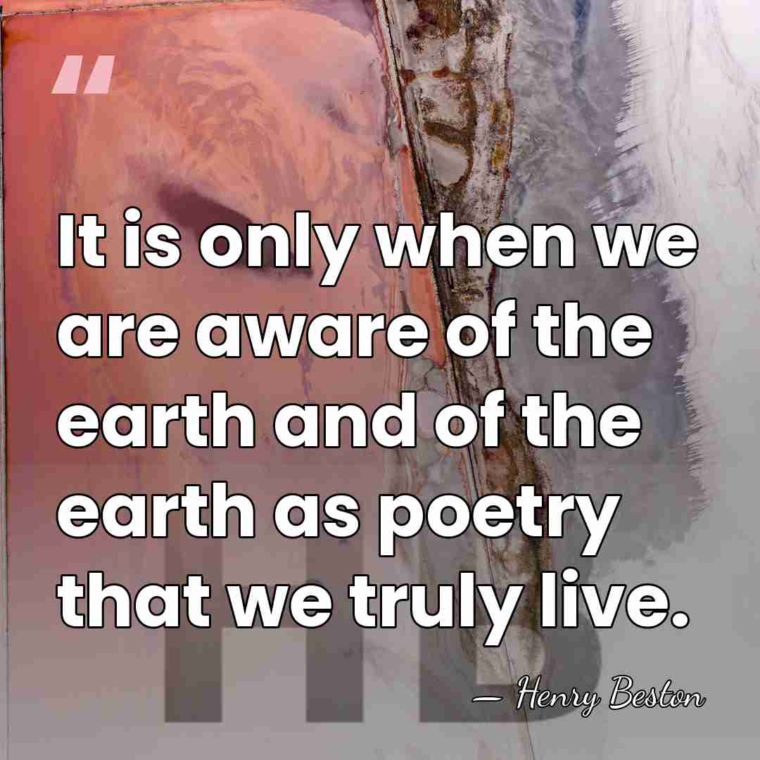 It is only when we are aware of the earth and of&hellip; - Henry Beston