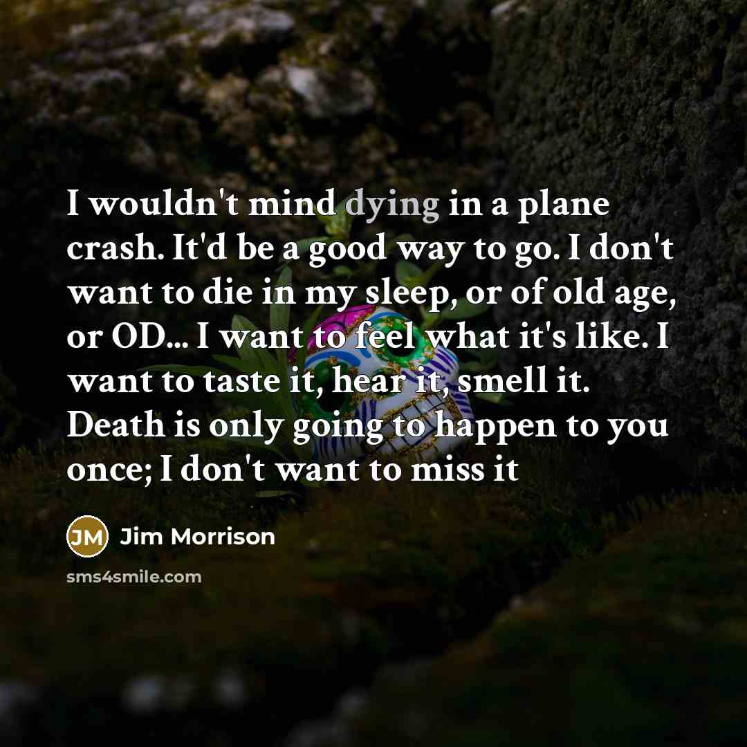 “I wouldn't mind dying in a plane crash. It'd be…” quote by Jim Morrison