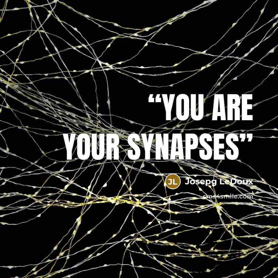 “You are your synapses” quote by Josepg LeDoux